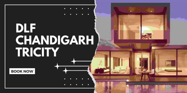 DLF Real Estate Agency, Sector-7, Chandigarh