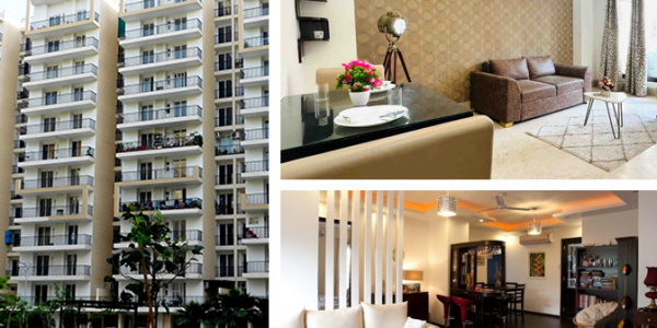 Gurkirat Realtors, Near Hotel Raddisson, Mohali