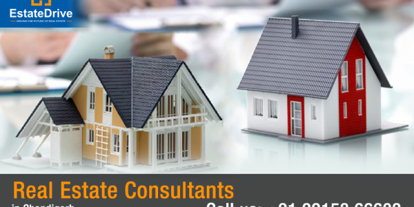 Thakur Property Consultants, Sector-8, Chandigarh