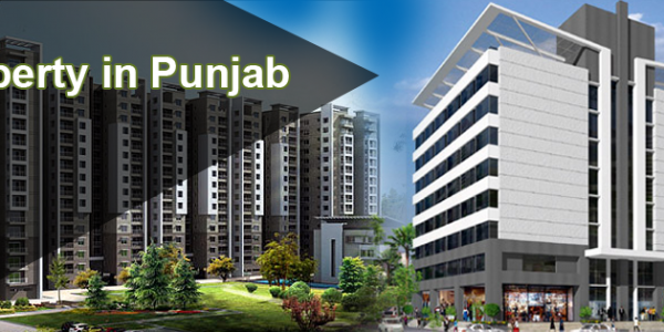 Delhi Punjab Real Estates, Sector-22, Chandigarh