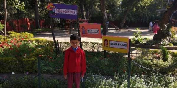 Ankur School, Sector-14, Chandigarh