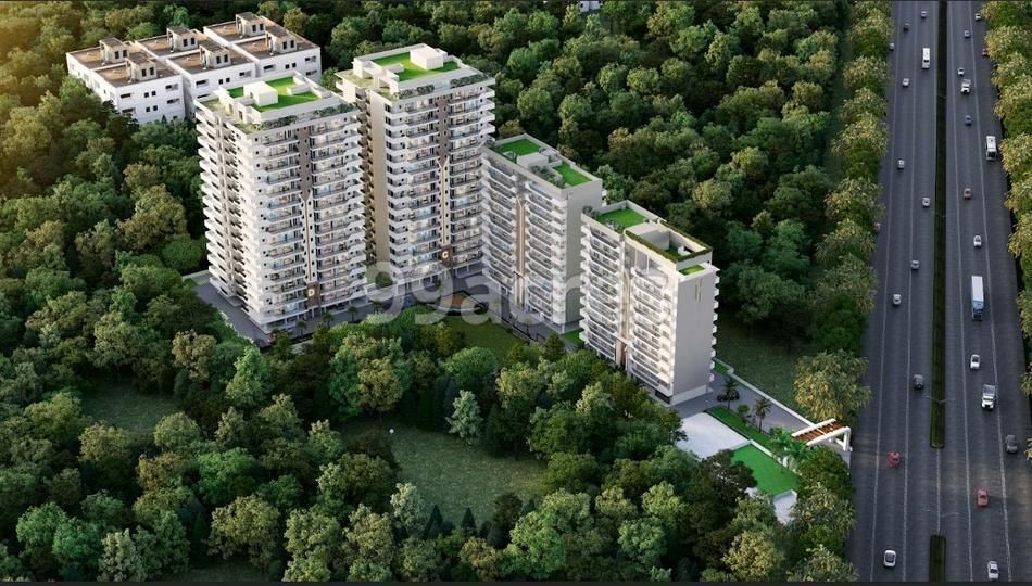 Northview Homez, Zirakpur