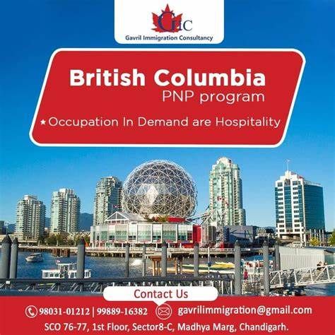 Global  Opportunities Pvt.  Ltd. , Sector-8, Chandigarh