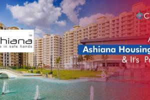 Ashiana Real Estate Consultants