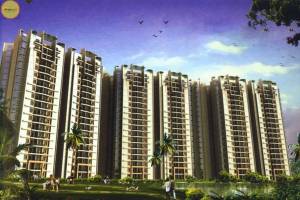 Shree Jain Properties