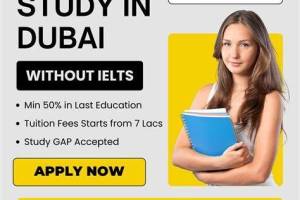 Ambition Overseas, Gurgaon