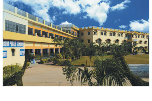 Drona Public School