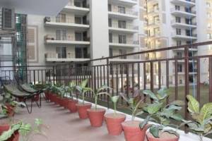 Green Valley Heights, Zirakpur