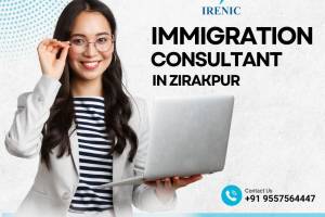 Dolphin Legal Relocation Services Private Limited, Sector-14, Panchkula