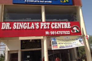 Animal care center chandigarh