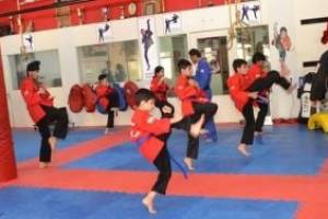 Shastrang Indian Modern Martial Art, Panchkula