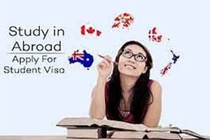 Make Visas|Top Immigration Consultants, Faridabad