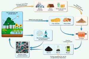 Federation of Environmental Issues and ITS Remediation, Chandigarh