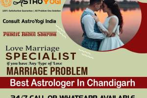 Vedic Astrology Solutions Pandit Rahul Sharma