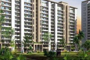 DLF Express Greens, Gurgaon