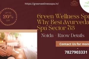 Wildberry Wellness Spa