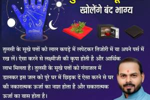 SHIVI Astrology & Vaastu Services,Chandigarh