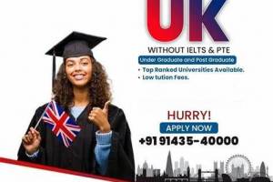 International Education & Immigration Consultants, Vasundhara, Ghaziabad