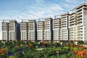 Maya Green Lotus Saksham, Zirakpur