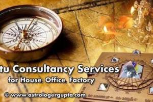 Guru Ji Astro & Vastu Consultancy