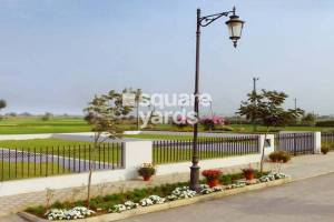 Flower Valley, Yamunanagar