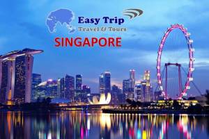 Easy Tours & Travels, faridabad