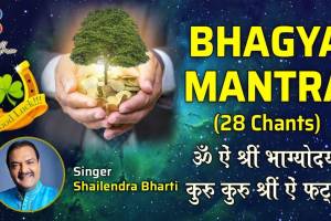 Bhagya Mantra Astrology and Vastu Solutions