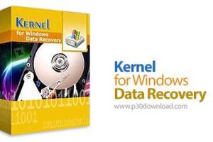Kernel Data Recovery