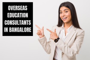 Indian Overseas Educational Consultancy