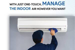 Blue Star Ac Dealers