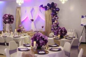 Pine Events, Sector-18, Noida