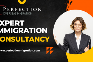 Easy Immigration & Visa Consultant & IELTS Classes, Sector-85, Faridabad