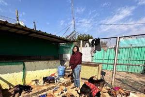 Bezubaan Animal Welfare Foundation, Chandigarh
