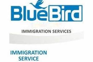 Blue Bird Immigratio&Education Services, Chandigarh