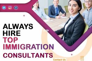 10MOVES Immigration Consultancy, Faridabad,