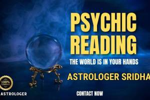 Astrologer Shridhar, Sector-44 C, Chandigarh