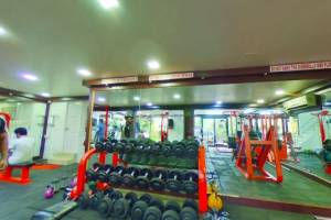 Curve Fitness Gym
