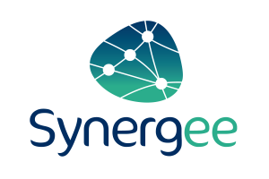 Synergee Assets Recovery