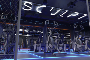 Sculpt Gym