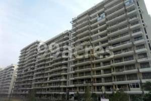 TDI Kingsbury Apartments , Sonipat