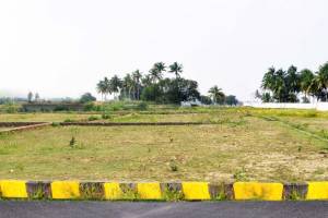 RLD Merlion Estate, Chennai