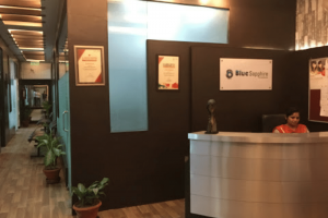 People Immigration, Sector-31, faridabad