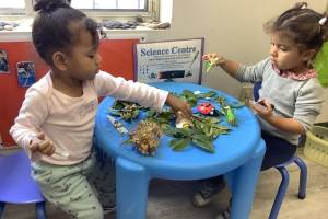 Balvatika Neev International Preschool, Baddi