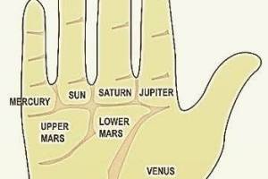 BSS Astrology Services. Sector-105, Noida