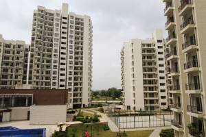 Umang Winter Hills, Gurgaon