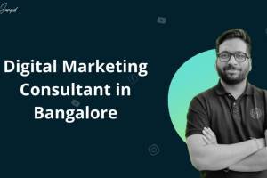 Dinesh Labana - Digital Marketing Consultant , Ahemdabad