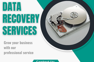 Hord-Disk DATA RECOVERY, Delhi