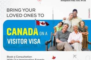 Vinnysoft Solutions, Sector-19, Panchkula