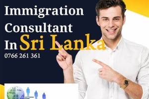 Move 2 Abroad , Sector-9, Chandigarh