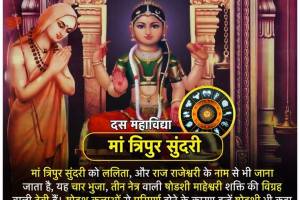 ASTROLOGER S. C SOBTI